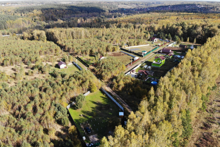 Нотариусов могут обязать вести видеозапись сделок с недвижимостью, которые заключают люди старше 60 лет. 