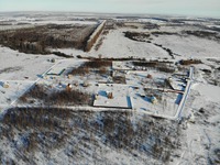 Незабудкино