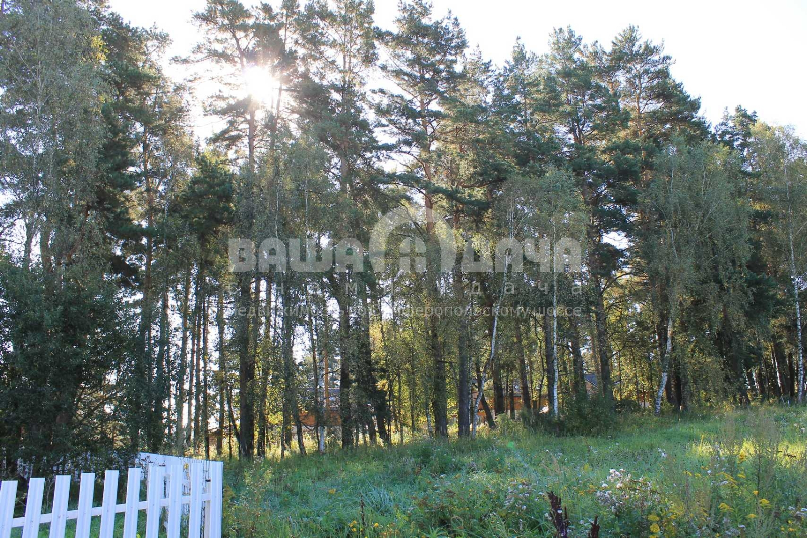 Участок 8,64 сотки в поселке с вековыми соснами!