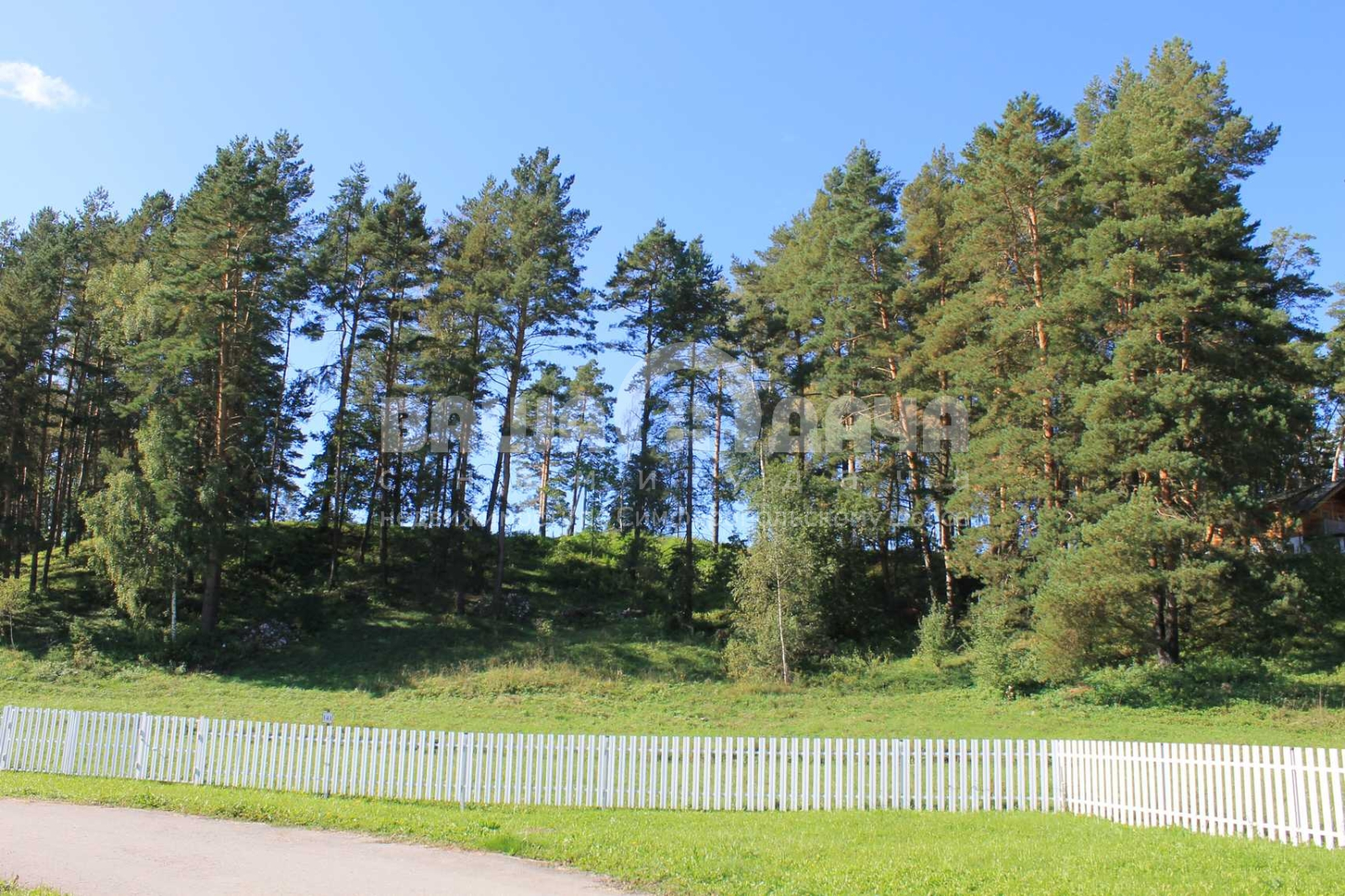 Участок 14,65 соток в поселке с вековыми соснами!