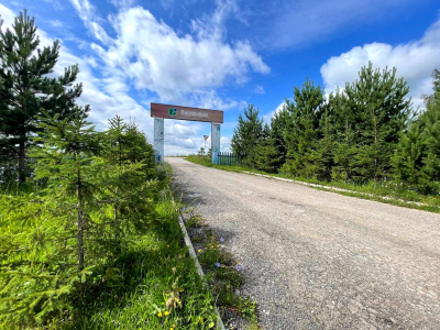 Васильково