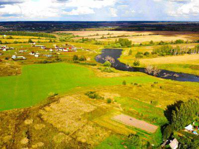 Васильково