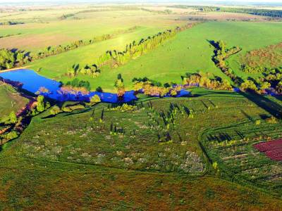 Васильково