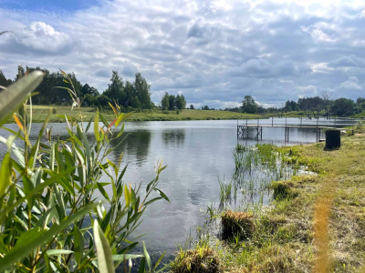 Васильково