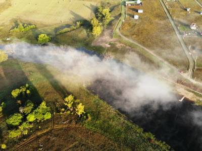 Васильково