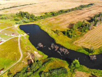 Васильково