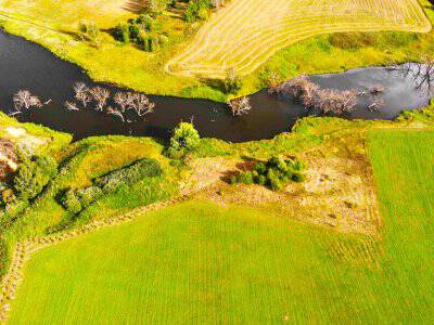 Васильково