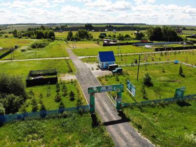 Васильково