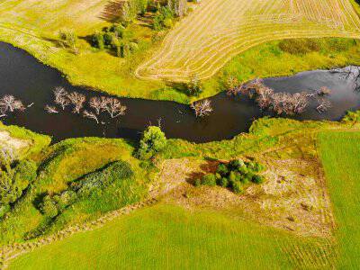 Васильково