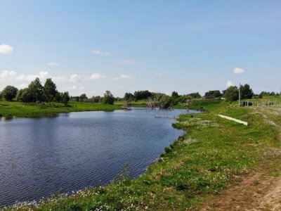 Васильково