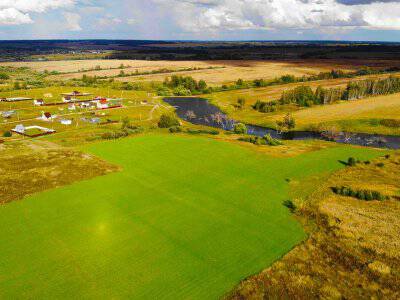 Васильково