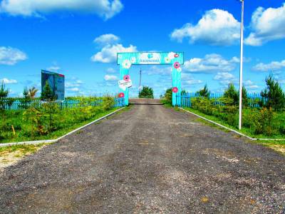 Васильково