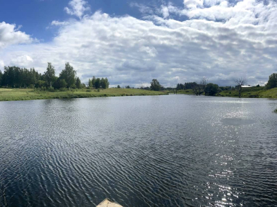 Васильково