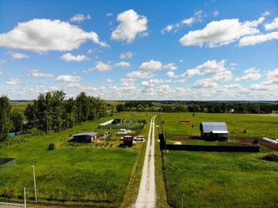 Васильково