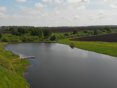 Васильково