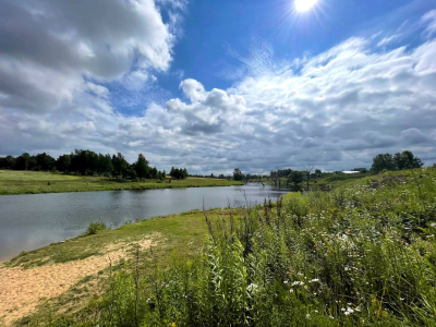 Васильково