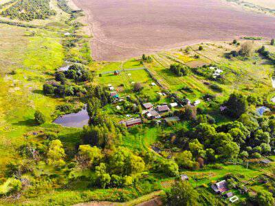 Васильково