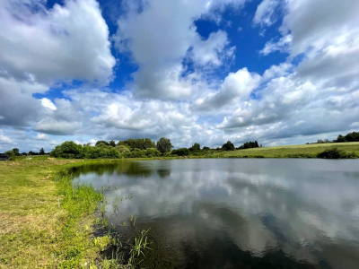 Васильково