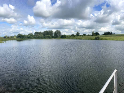 Васильково