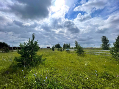 Васильково