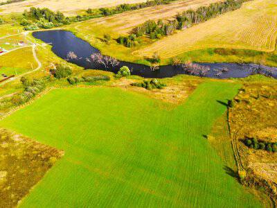 Васильково