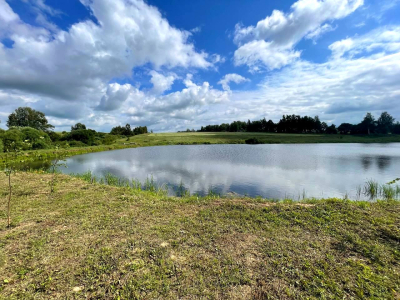 Васильково