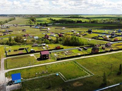 Васильково