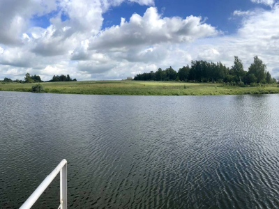 Васильково