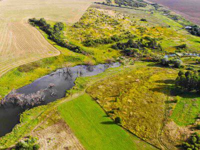 Васильково