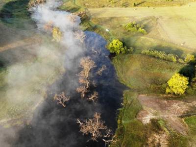 Васильково