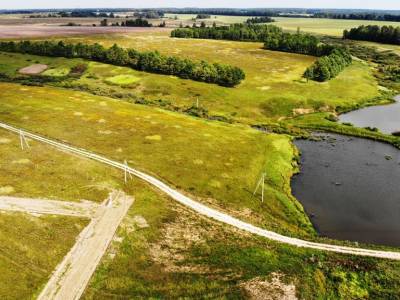 Дмитриевское