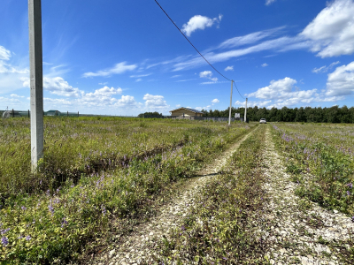 Дмитриевское