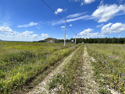 Дмитриевское