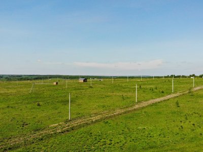 Дмитриевское