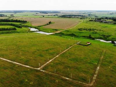 Дмитриевское