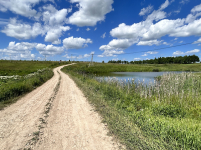 Дмитриевское