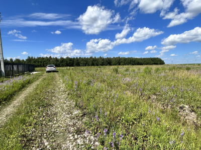 Дмитриевское