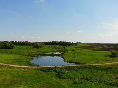 Дмитриевское