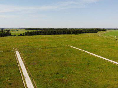 Дмитриевское