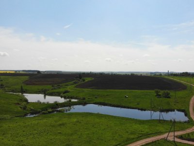 Дмитриевское