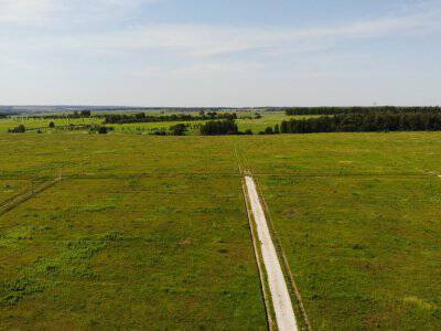 Дмитриевское