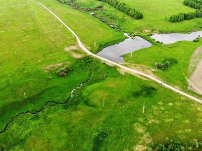 Дмитриевское