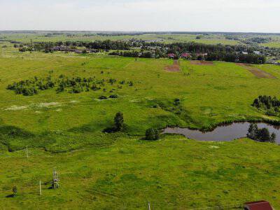 Дмитриевское