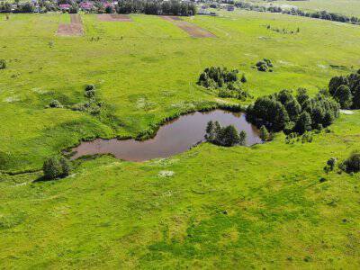 Дмитриевское