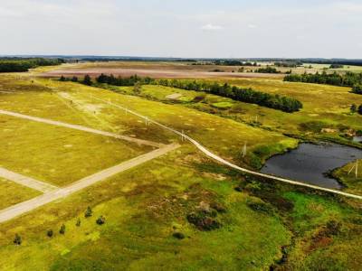 Дмитриевское