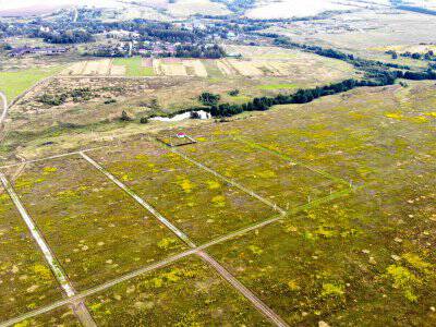 Дмитриевское