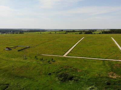 Дмитриевское