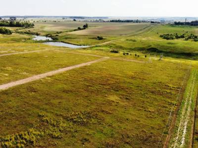 Дмитриевское