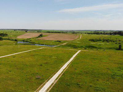 Дмитриевское