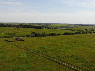 Дмитриевское